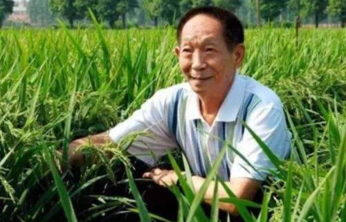 百度沸点2019年度十大年度人物,袁隆平、屠呦呦影响力很大