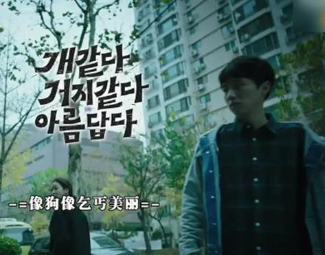 2019韩国高分电影排名,《寄生虫》豆瓣评分8.7,《小委托人》感人