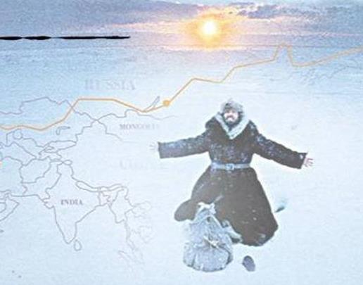 十大经典探险求生电影排名,《南极大冒险》《重见天日》惊险刺激