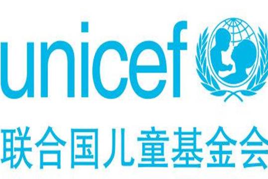 6,联合国儿童基金会