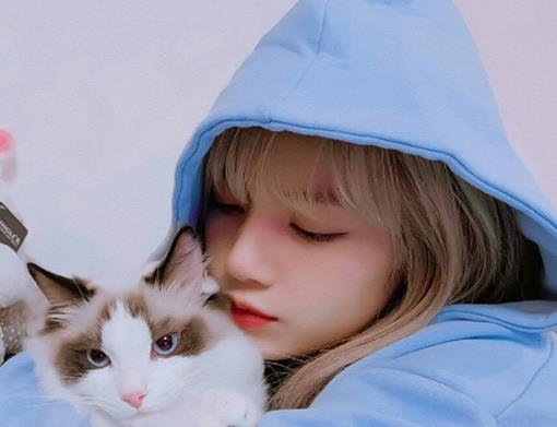 2020韩国爱豆ins粉丝排名lisa长得又纯又欲jennie知名度高