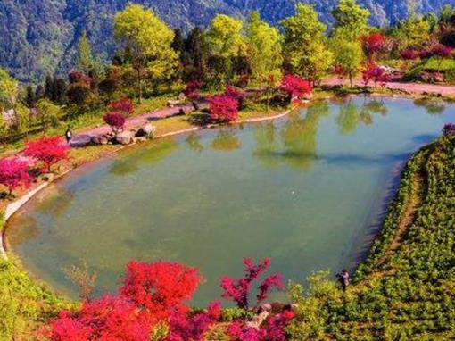 德陽(yáng)十大風(fēng)景名勝排行榜，德陽(yáng)景點(diǎn)有哪些好玩的地方推薦？中國(guó)和海熱度最高，倉(cāng)山古鎮(zhèn)歷史悠久(圖3)