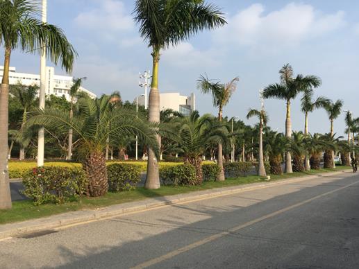 厦门十大景点排行榜,鼓浪屿景色优美,园林植物园设计有特色