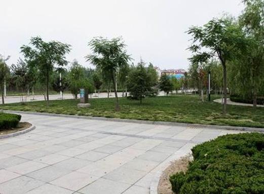 珠海十大公园广场排名，珠海有哪些热闹好玩的公园广场？拱北口岸广场、板樟山森林公园非常美丽(图8)