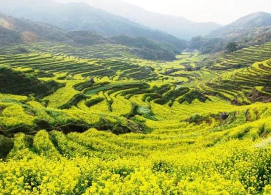 2021年十大适合一个人散心的地方,丽江、沪沽湖让你享受自然的洗礼