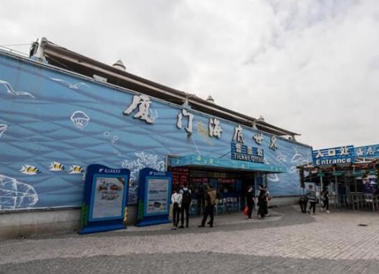 中國(guó)十大海洋館排行榜值得去最好玩的在哪個(gè)地方？廈門海底世界、亞龍灣海底世界吸引眾人向往(圖1)