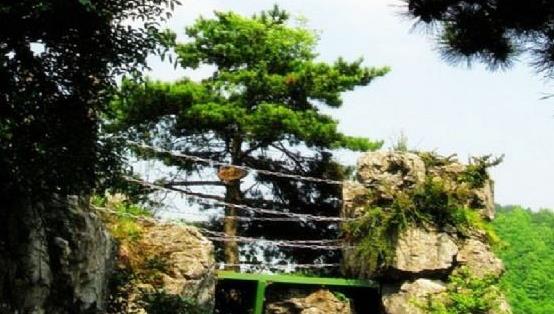 广元曾家山景区