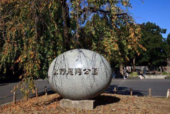 日本东京都十大旅游景点排行榜 东京都有什么好玩的地方