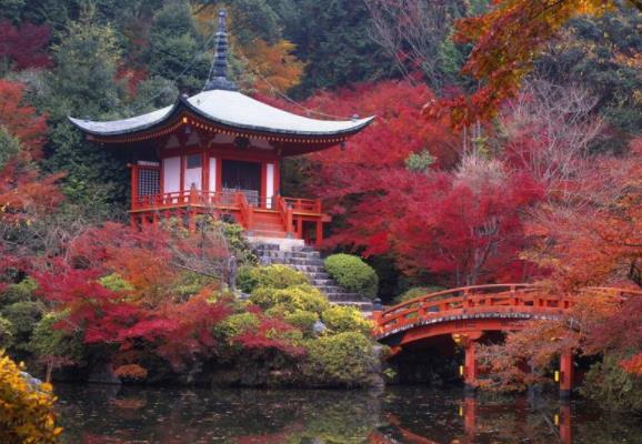 日本京都府十大旅游景点排行榜 京都府有什么好玩的地方
