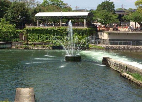 日本京都府十大旅游景点排行榜 京都府有什么好玩的地方