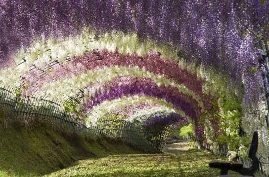 日本福冈县十大旅游景点排行榜 福冈县有什么好玩的地方