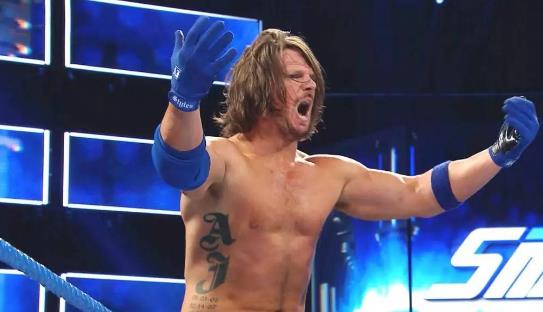 WWE WWEа wweְҵˤǾа
