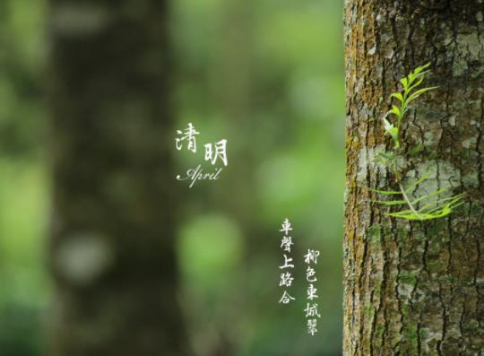 2022清明节天津会下雨吗?2022年清明去天津上坟有什么规定