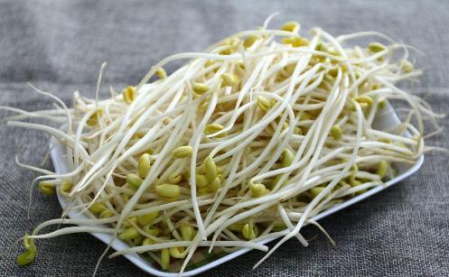 绿豆芽.jpg