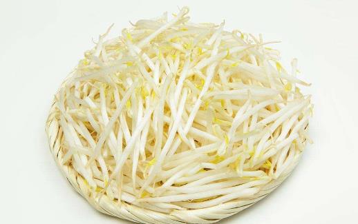 绿豆芽2.jpg