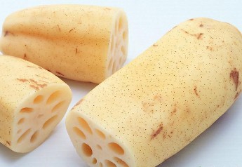 吃莲藕有什么好处?莲藕的营养价值,莲藕的功效与作用