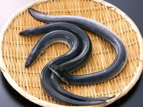 吊瓜子的营养价值_吊瓜子的营养_孕妇可以吃吊瓜子吗