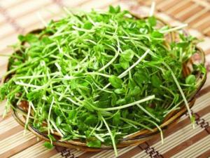 豆苗的功效与作用-豆苗的营养价值