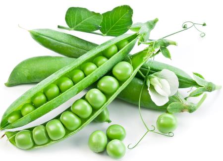 豌豆的功效与作用及禁忌