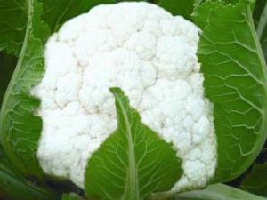 吃花菜有什么好处？花菜的营养价值及功效