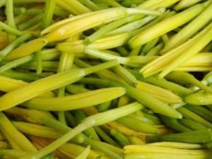 新鲜的黄花菜有毒吗？黄花菜怎么吃好 黄花菜的营养价值