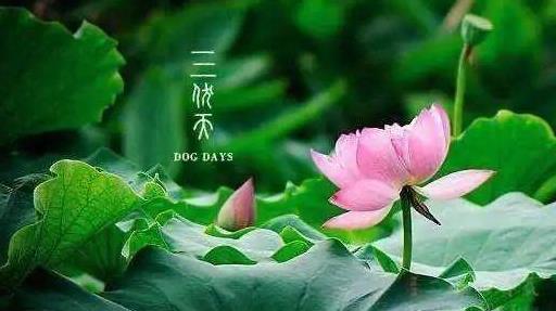 2021年三伏天时间表是怎样的?2021年三伏天总共40天吗?