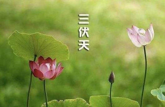 2021年三伏天时间表是怎样的?2021年三伏天总共40天吗?