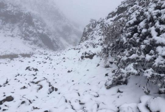 下雪车牌被挡住会不会被违章拍照?下雪天车上的雪要扫掉吗
