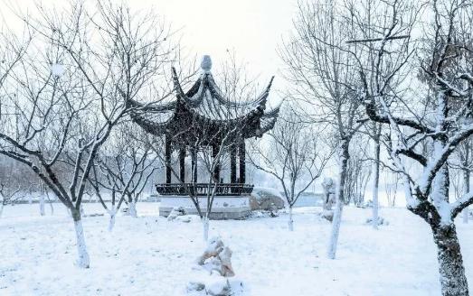 下雪车牌被挡住会不会被违章拍照?下雪天车上的雪要扫掉吗