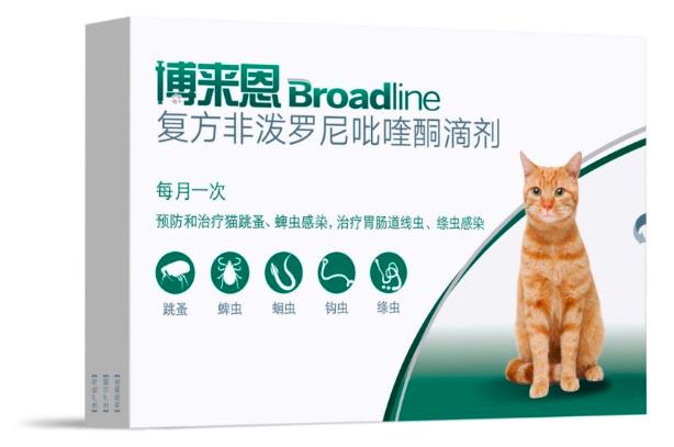 为什么要空腹给猫体内驱虫?