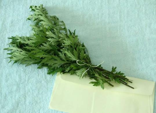 端午节挂艾草根朝上还是根朝下?端午当天什么时候挂艾草
