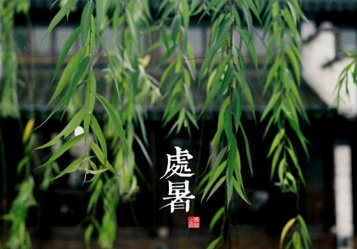 处暑是什么意思?处暑养生注意事项