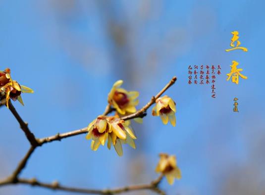 2022立春时正好在上班怎么躲春?立春之后多久才不冷了