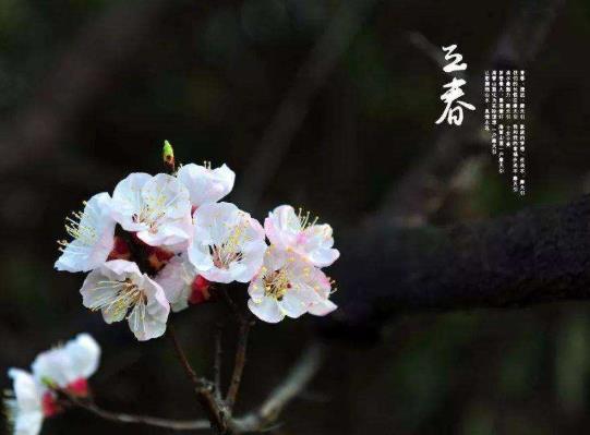 2022立春后天气还会干燥吗?2022年躲春如果在上班怎么办