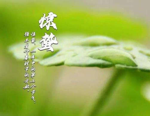 惊蛰前几点上坟好?惊蛰上坟是上午去还是下午去