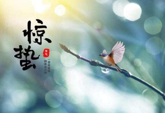 惊蛰怎么打小人?惊蛰为什么要打小人