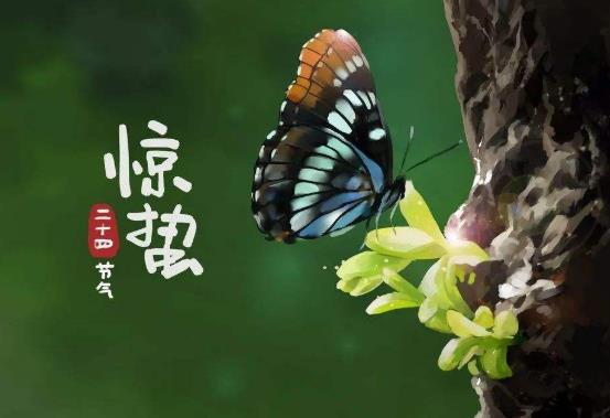 为什么惊蛰要脱帽子?惊蛰节气要注意什么
