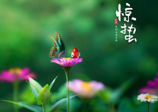惊蛰节气吃什么食物好?惊蛰打雷在什么时候打