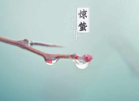 惊蛰刮北风不好吗?惊蛰哪三样东西要扔掉