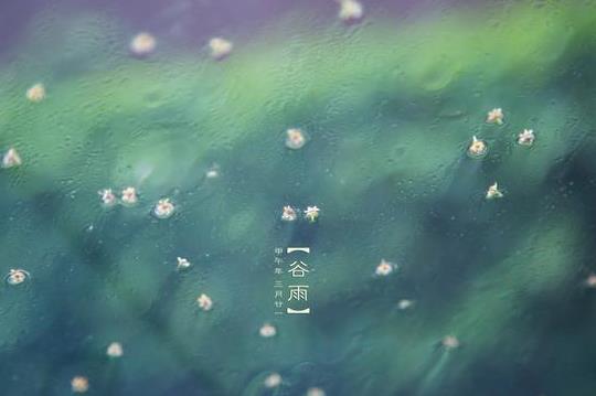 谷雨后下雨天气会以后怎么样?谷雨容易下雨吗