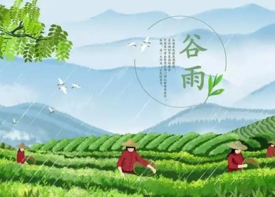 2023年谷雨几点几分出来?2023年谷雨是农历几月几日
