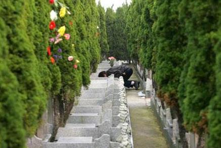 2021清明节哪天上坟最好?2021年清明节扫墓需要预约吗