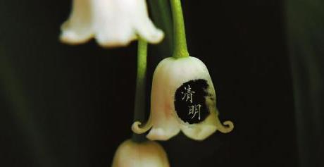 清明节上坟是前后十天吗?清明节上坟单号去好还是双号去好