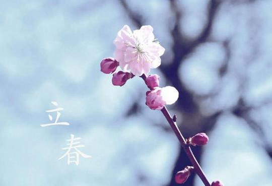2022年立春躲春的时候可以玩手机吗?2022立春躲春能不能两个人一起