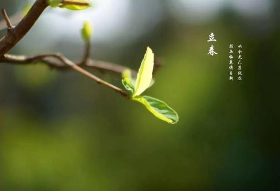 2022年躲春要躲多久?2022年属虎的怎么躲春?