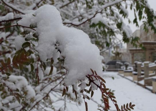 下雪天开车用前驱好还是后驱好?新手冰雪天气行车驾驶技巧