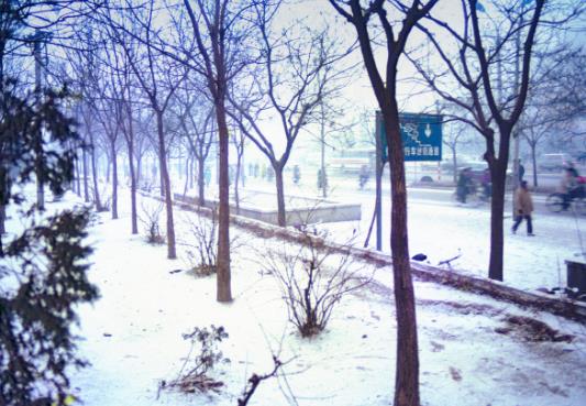 下雪天汽车用什么防滑链安全?下雪天汽车雨刮器为什么要竖起来?