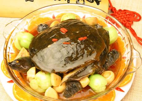 甲鱼不能和什么一起吃?吃甲鱼有哪些饮食禁忌
