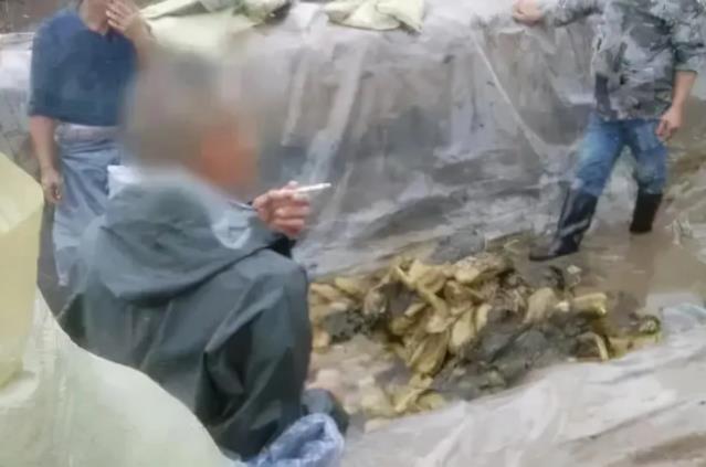 光脚土坑酸菜对方便面行业影响有多大 插旗的土坑酸菜是怎么研制的