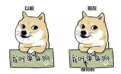 剩男5.jpg